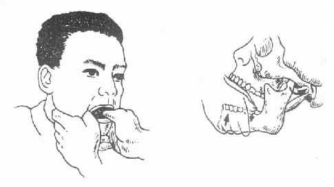 ����ؽ���λ