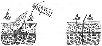 ��ǻ��沿����֯����