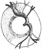 ԭ���Կ����������