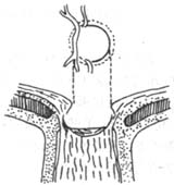 ԭ���Կ����������