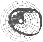 ԭ���Կ����������