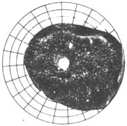 ԭ���Կ����������