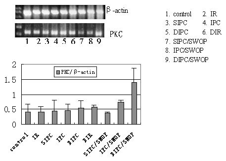 �������ε����ȱѪԤ��Ӧ�����ļ����׼�øC�����Ӱ��(2)