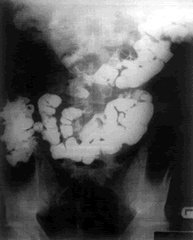 ����ʮ��ָ�����޸�������