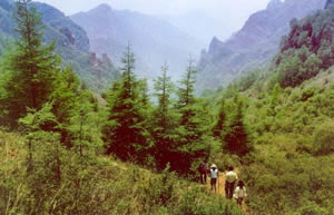 �����������կ/ɭ�־���