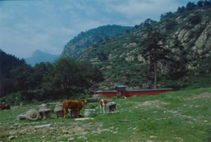 ����ʥ�ؽ��ɽ