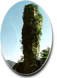 黄狮寨/张家界森林公园/张家界.黄狮寨