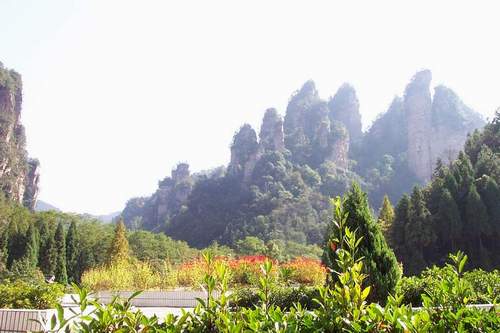 �����żҽ����ɭ�ֹ�԰