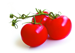 ���۶����ۿ��������ಡ