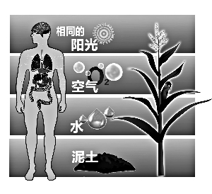 陈明哲:基因决定我们吃什么更健康
