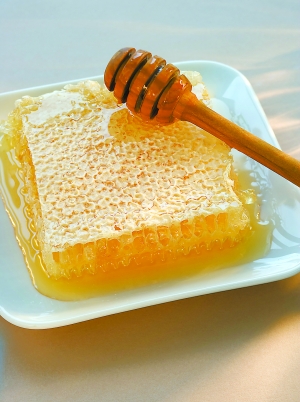 �����ʳ�˼����¶Ϊ�ƻ�Ϊ��