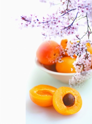 һ���������ӻ�