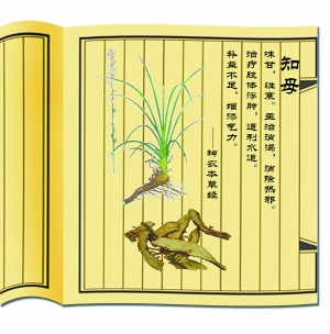 ����к��˵֪ĸ