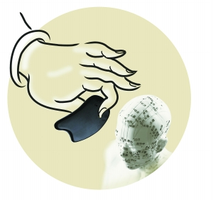 �����֮ĸ��������������