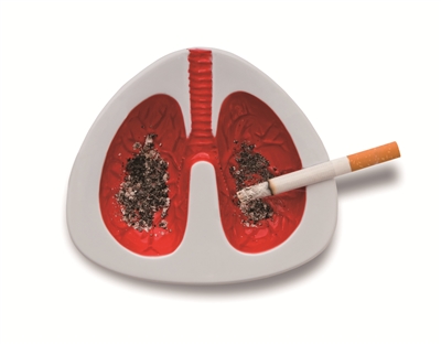 ������ ���·ΰ�����Ҫԭ��