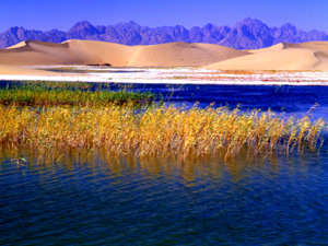 /���ɼ���̩