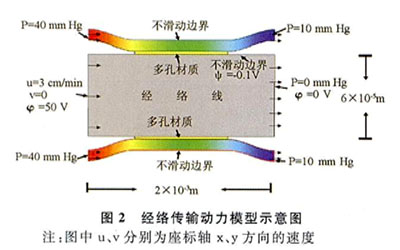 ���紫��Ķ�����