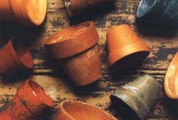 ���Էŷɡ���ʱ����ü������ְҵ