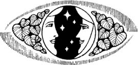 �����������ԡ���ֻ�ۡ�