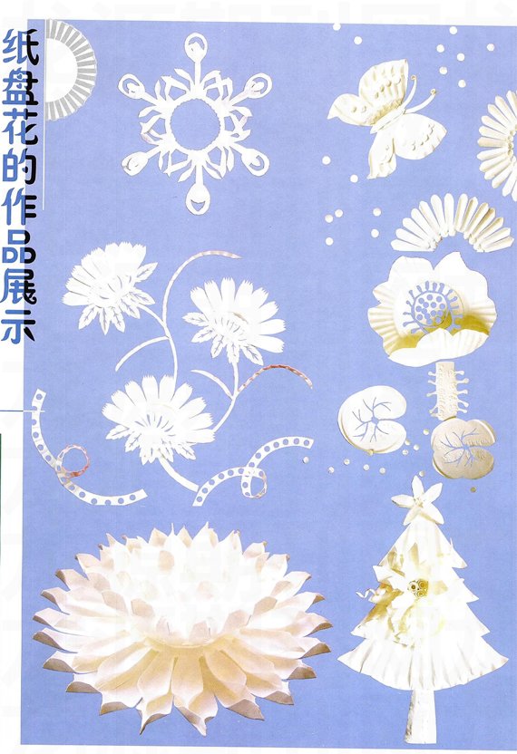 变废为宝:纸盘的美丽变身
