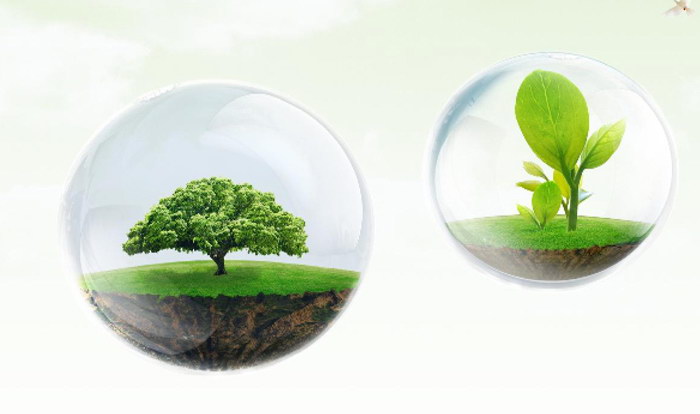 �������ǹ�ͬ��ѡ��