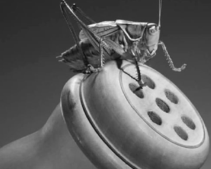 ι��������ע��