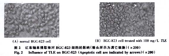 쳵ȡθBGC-823ϸӰ