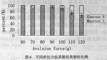 牵拉性撕脱伤对动脉闭塞率的影响