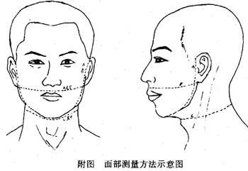 经络减肥仪瘦脸２２０例临床观察