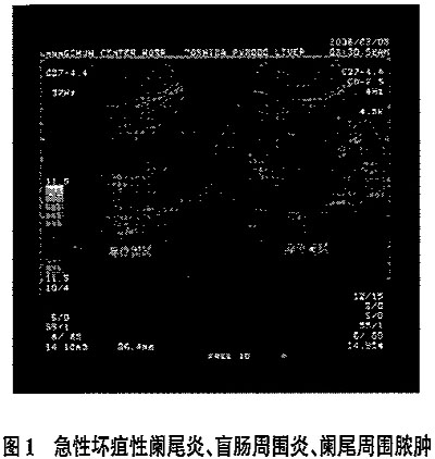 ��ɫ�����ճ��������λ��β��