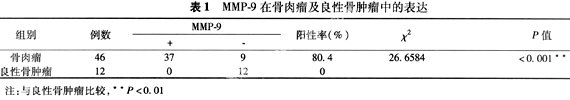 MMP-9ڹеıＰ