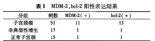 MDM-2bck-2ӹеıＰ