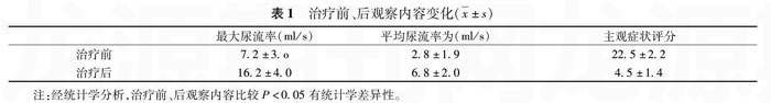 针状电极在前列腺电气化术后膀胱颈挛缩治疗中应用