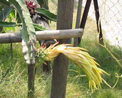 ����ߣ�������