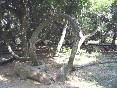 �׻�����