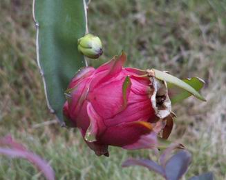 ����ߣ�������