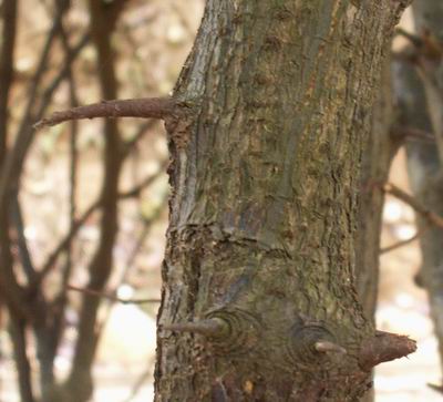 ���Ϻ�����