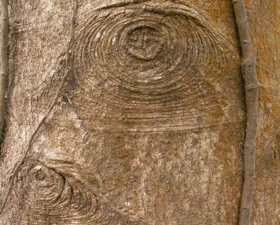 С��ɽ����