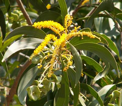 ������˼