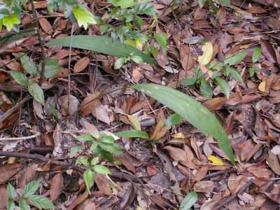 ��۴�����