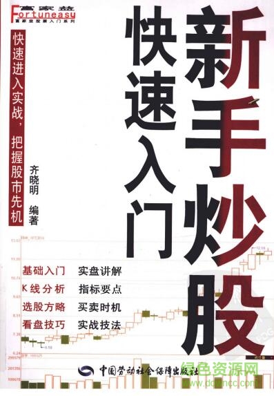 新手炒股快速入门下载-新手炒股快速入门pdf下载高清扫描版