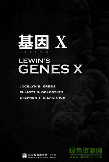 基因x中文版pdf下载-lewin基因x中文版.pdf下载完整电子版-基因10中文版pdf