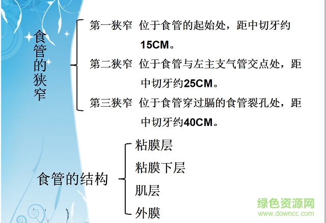 食管癌的护理查房ppt下载-食管癌护理查房ppt课件下载免费版
