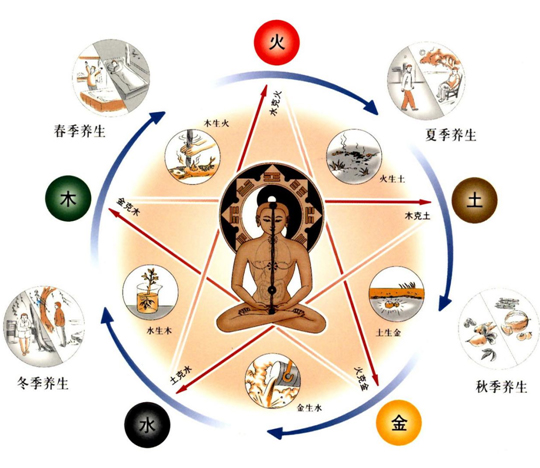 赞中华中医药历史成就