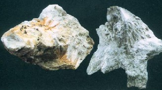 补益药——阳起石