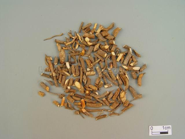  威灵仙/棉团铁线莲/东北铁线莲/灵仙/Radix et Rhizoma Clematidis/Clematis chinensis Osbeck/Clematis hexapetala Pall./Clematis manshurica Rupr./ 