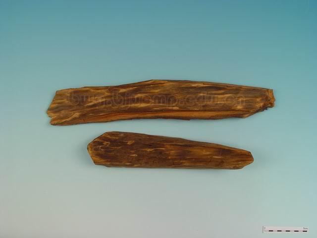 白木香/蜜香/沉水香/Lignum Aquilariae Resinatum/Aquilaria sinensis (Lour.) Gilg./