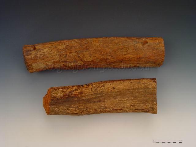  密花豆/血风藤/Caulis Spatholobi/Spatholobus suberectus Dunn/鸡血藤块/鸡血藤片/鸡血藤膏 