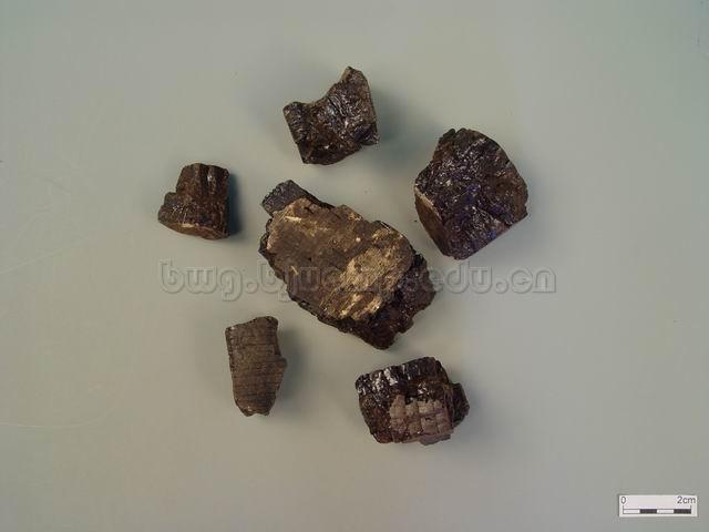  密花豆/血风藤/Caulis Spatholobi/Spatholobus suberectus Dunn/鸡血藤块/鸡血藤片/鸡血藤膏 