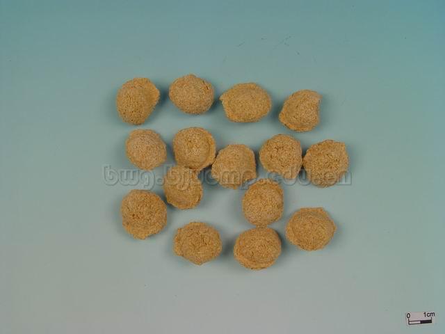  为辣蓼/青蒿/杏仁等药加入面粉或麸皮混合后，经发酵而成的曲剂/六神曲/Massa Fermentata/神曲/六神曲/焦神曲 